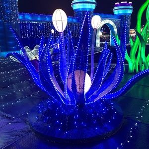 Meet your Posher, Reyna